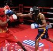 Boxeo, historia, protecciones, faltas, competiciones, reglas...